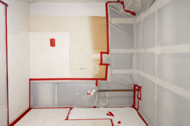Best Mold Damage Restoration  in Kingsburg, CA