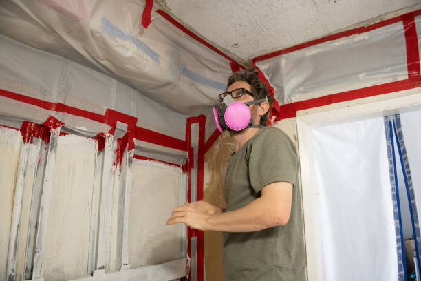 Best Mold-Related Health Consultation  in Kingsburg, CA