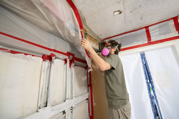 Best Forensic Mold Investigation  in Kingsburg, CA