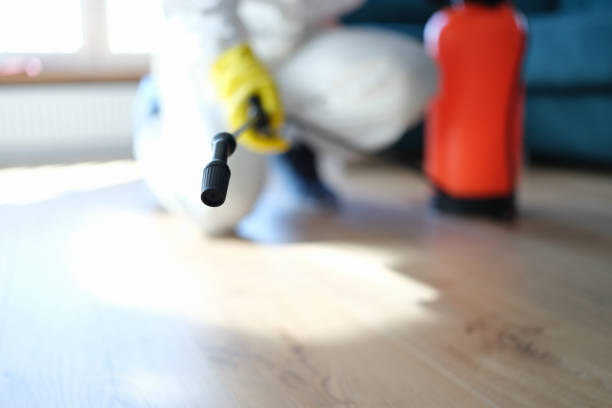 Best Mold Removal for HVAC Installations  in Kingsburg, CA