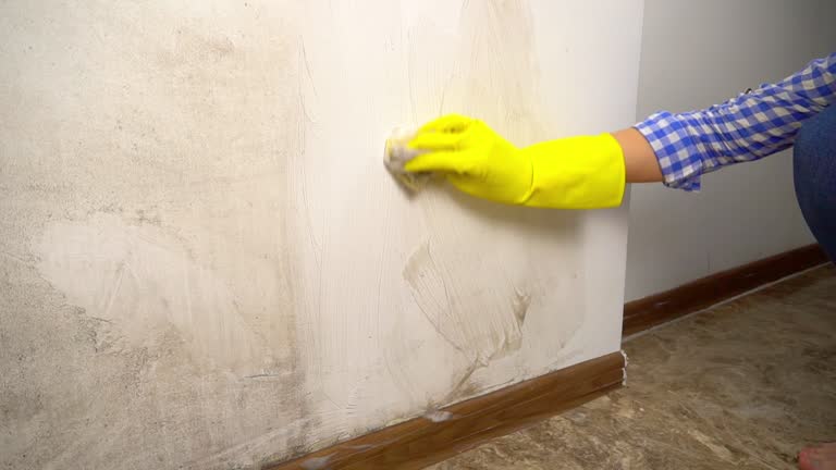Best Mold Odor Removal Services  in Kingsburg, CA
