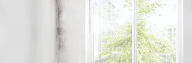 Best Industrial Mold Remediation  in Kingsburg, CA