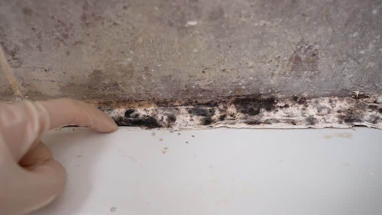 Best Biohazard Mold Removal  in Kingsburg, CA